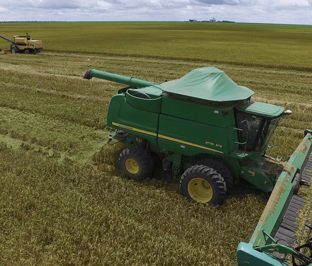 Colheitadeira em lavoura no Piauí