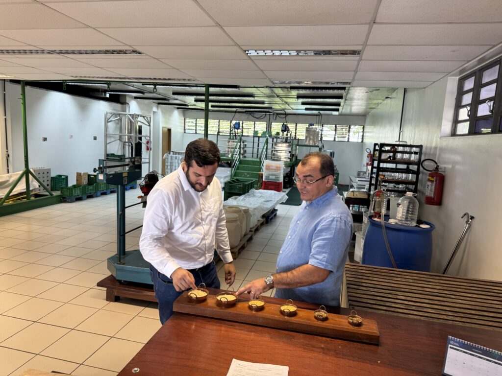 Com apoio do governo, empresa do PI que produz cera de carnaúba concretiza exportação para 35 países