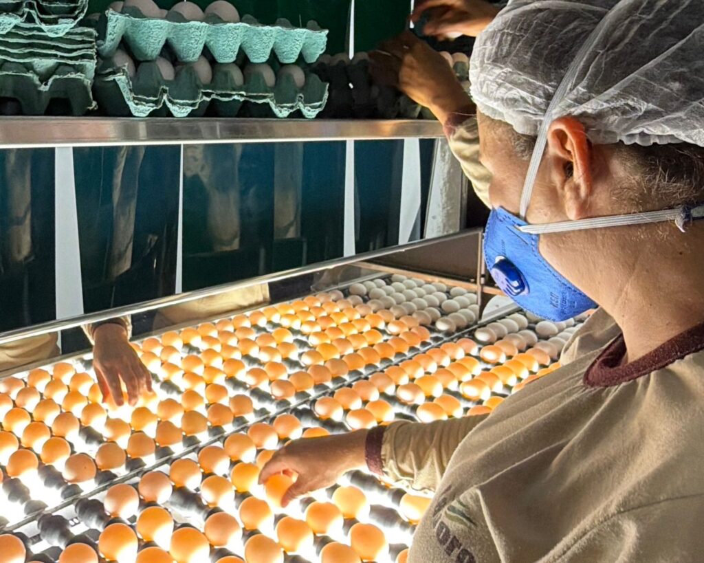 Com apoio da Investe Piauí, grupo amplia cadeia agroindustrial e diversifica produção de soja, milho e ovo no Cerrado